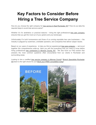 Key Factors to Consider Before Hiring a Tree Service Company