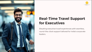 Real-Time-Travel-Support-for-Executives
