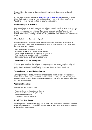 Trusted Dog Daycare in Barrington: Safe, Fun & Engaging at Pooch Pawsitive