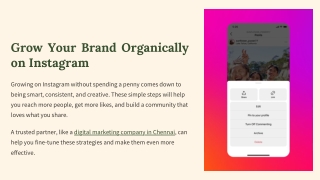 Grow-Your-Brand-Organically-on-Instagram