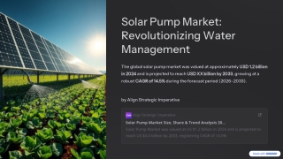 The Solar Pump Market: A Bright Future Fueled by Innovation and Sustainability