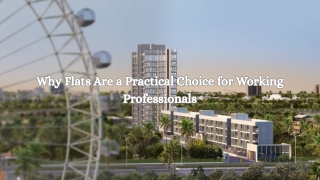 Why Flats Are a Practical Choice for Working Professionals
