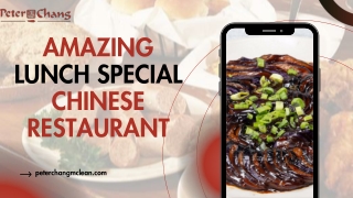 Amazing Lunch Special Chinese Restaurant