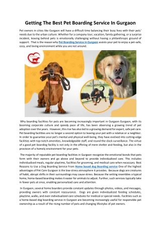 Getting The Best Pet Boarding Service In Gurgaon