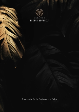 Urbanize - Indian Springs