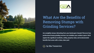 What Are the Benefits of Removing Stumps with Grinding Services