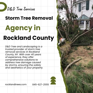 Storm Tree Removal Agency in Rockland County  D&D Tree Services