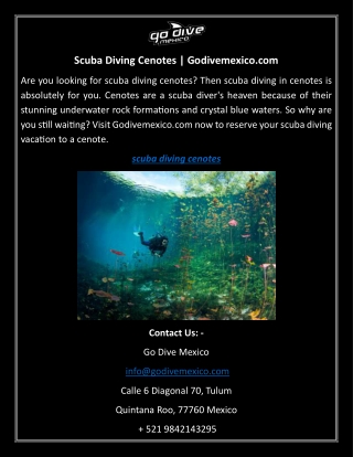 Scuba Diving Cenotes Godivemexico.com