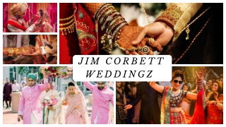 Top Destination Wedding Venues in Jim Corbett for a Dreamy Celebration