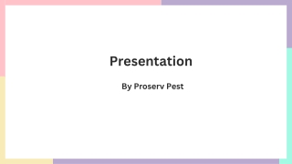 Comprehensive Pest Solutions in Singapore Mosquitoes, Bees & Bed Bugs