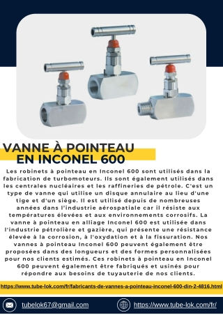 Vanne à pointeau en Inconel 600