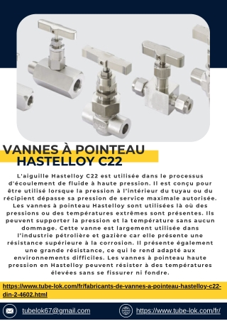 Vannes à pointeau Hastelloy C22