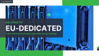 netherlands unmetered server