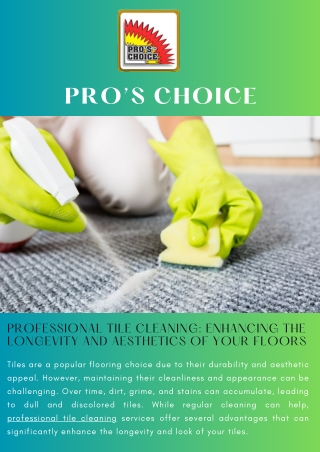 Professional Tile Cleaning Enhancing the Longevity and Aesthetics of Your Floors