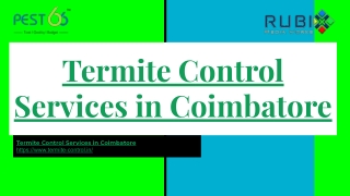 Termite Control Services in Coimbatore | Termite Control Services