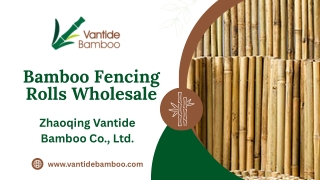 Bamboo Fencing Rolls Wholesale - Vantidebamboo.com