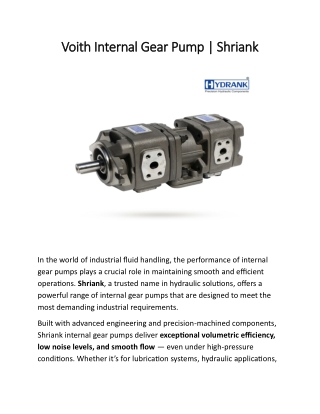 Voith Internal Gear Pump