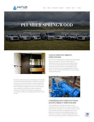 Plumber Springwood