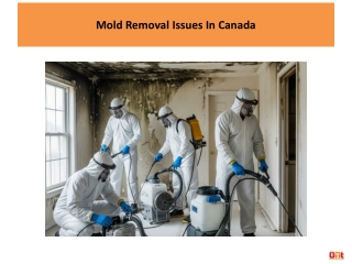 Mold Removal Issues In Canada