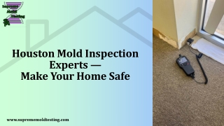 Houston Mold Inspection Experts