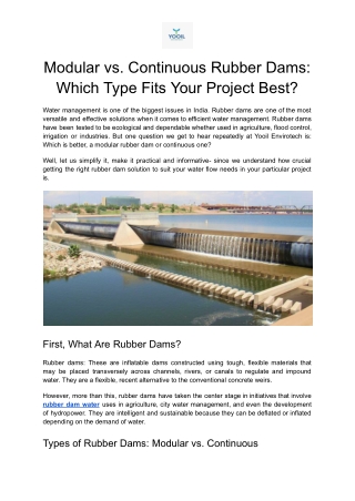 Rubber Dam in India: Modular vs Continuous Solutions