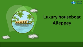 "Timeless Backwaters, Unforgettable Journeys"