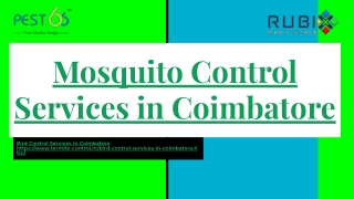 Mosquito Control Services in Coimbatore