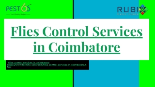 Flies Control Services in Coimbatore
