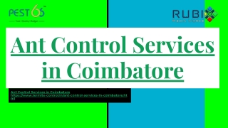 Ant Control Services in Coimbatore