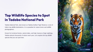 top wildlife species to spot in tadoba national park