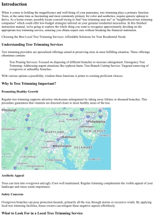 Choosing the Best Local Tree Trimming Services: Affordable Solutions for Your Re