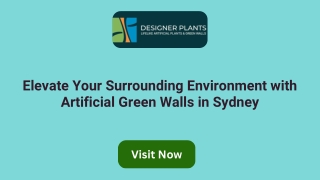Elevate Your Surrounding Environment with Artificial Green Walls in Sydney
