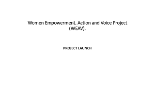 WEAV Project Inception. presentation