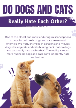 Do Dogs and Cats Really Hate Each Other?