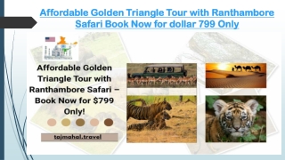 Affordable Golden Triangle Tour with Ranthambore Safari Book Now for dollar 799 Only