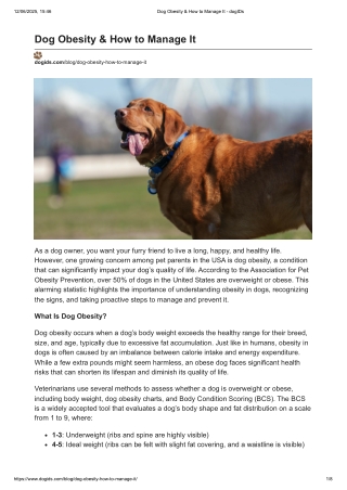 Dog Obesity & How to Manage It