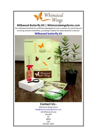 Milkweed Butterfly Kit  Whimsicalwingsfarms.com.