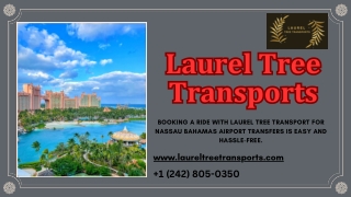 Bahamas taxi service