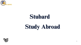 Cost of Living in New Zealand for International Students