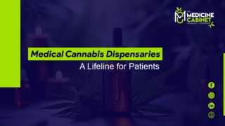 Expert Advice on Cannabis Product Selection