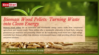Biomass Wood Pellets Turning Waste into Clean Energy