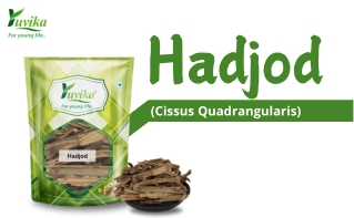 How to use Hadjod Seeds