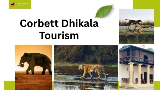 Explore the Wild with Canter Safari Booking in Corbett | Corbett Dhikala Tourism