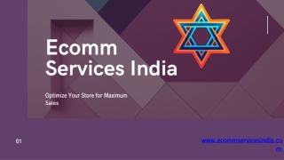 Professional Shopify Product Listing Services | Boost Sales with Optimized Listi