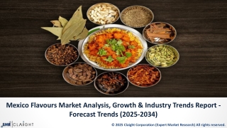 Mexico Flavours Market Share, Trends & Industry Report Forecast 2025-2034