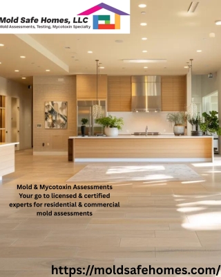 Professional Mold Diagnosis Florida – Certified Testing & Inspection Services