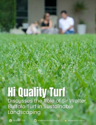 Hi Quality Turf Discusses the Role of Sir Walter Buffalo Turf in Sustainable Landscaping