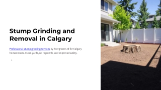 Stump Grinding and Removal in Calgary - Evergreen Ltd