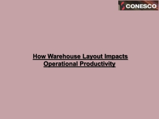 How Warehouse Layout Impacts Operational Productivity