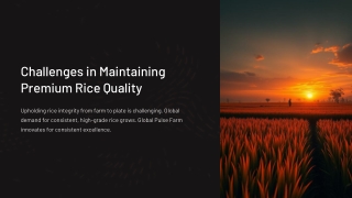 Challenges-in-Maintaining-Premium-Rice-Quality